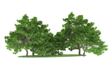 Realistic forest isolated on white background. 3d rendering - illustration