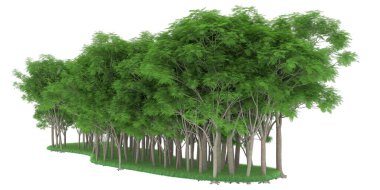 Realistic forest isolated on white background. 3d rendering - illustration