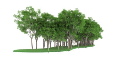 Realistic forest isolated on white background. 3d rendering - illustration
