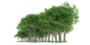 Realistic forest isolated on white background. 3d rendering - illustration