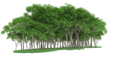 Realistic forest isolated on white background. 3d rendering - illustration