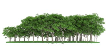 Realistic forest isolated on white background. 3d rendering - illustration