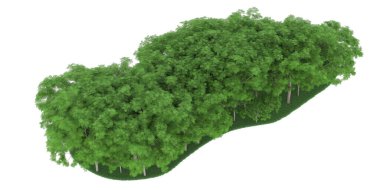 Realistic forest isolated on white background. 3d rendering - illustration