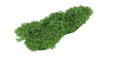 Realistic forest isolated on white background. 3d rendering - illustration