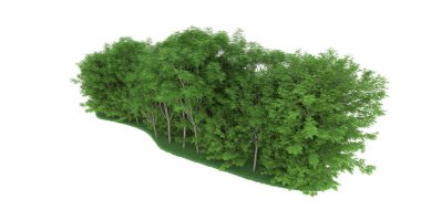 Realistic forest isolated on white background. 3d rendering - illustration