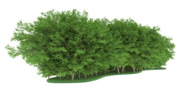Realistic forest isolated on white background. 3d rendering - illustration