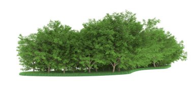 Realistic forest isolated on white background. 3d rendering - illustration
