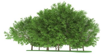 Realistic forest isolated on white background. 3d rendering - illustration