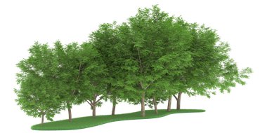 Realistic forest isolated on white background. 3d rendering - illustration