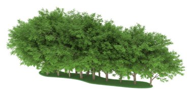 Realistic forest isolated on white background. 3d rendering - illustration