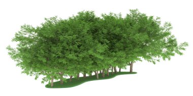 Realistic forest isolated on white background. 3d rendering - illustration