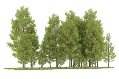 Realistic forest isolated on white background. 3d rendering - illustration