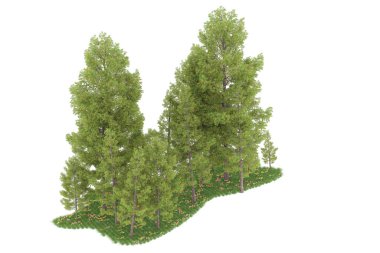Realistic forest isolated on white background. 3d rendering - illustration