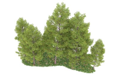 Realistic forest isolated on white background. 3d rendering - illustration