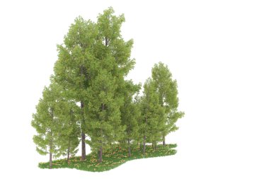 Realistic forest isolated on white background. 3d rendering - illustration