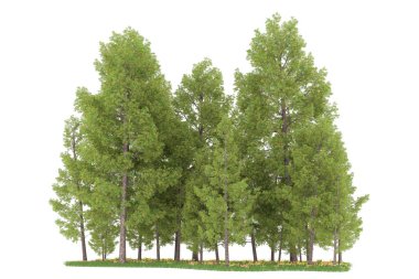 Realistic forest isolated on white background. 3d rendering - illustration