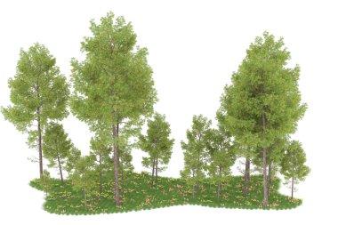 Realistic forest isolated on white background. 3d rendering - illustration