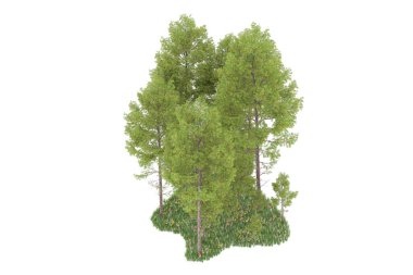Realistic forest isolated on white background. 3d rendering - illustration