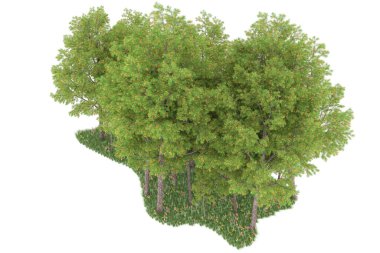 Realistic forest isolated on white background. 3d rendering - illustration