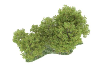 Realistic forest isolated on white background. 3d rendering - illustration