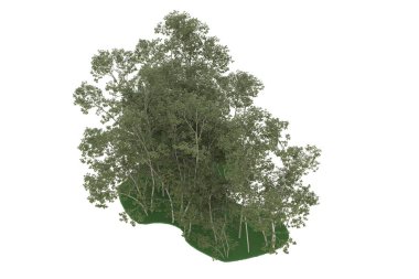 Realistic forest isolated on white background. 3d rendering - illustration