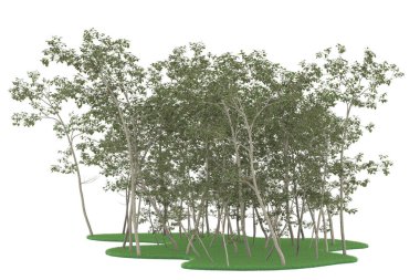 Realistic forest isolated on white background. 3d rendering - illustration