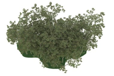 Realistic forest isolated on white background. 3d rendering - illustration