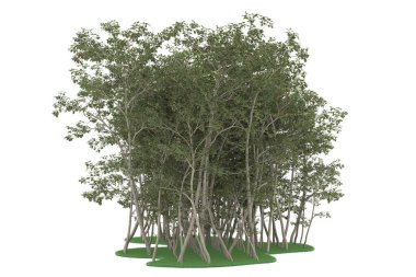 Realistic forest isolated on white background. 3d rendering - illustration