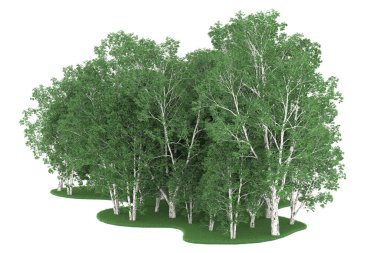 Realistic forest isolated on white background. 3d rendering - illustration