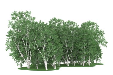 Realistic forest isolated on white background. 3d rendering - illustration