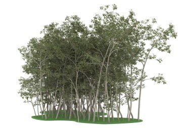 Realistic forest isolated on white background. 3d rendering - illustration