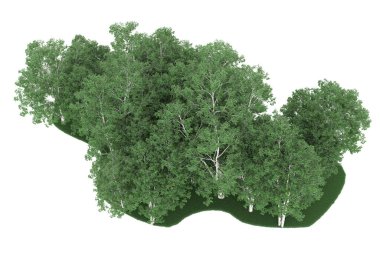 Realistic forest isolated on white background. 3d rendering - illustration