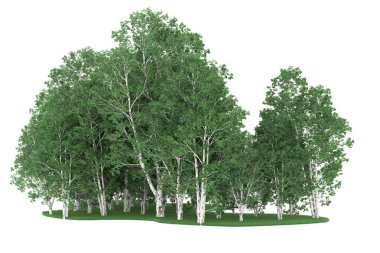Realistic forest isolated on white background. 3d rendering - illustration