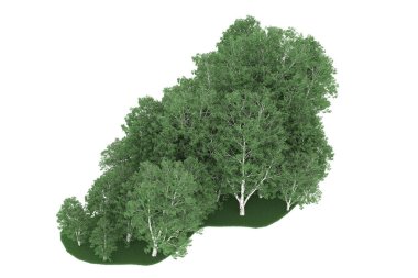 Realistic forest isolated on white background. 3d rendering - illustration