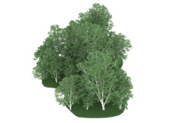 Realistic forest isolated on white background. 3d rendering - illustration