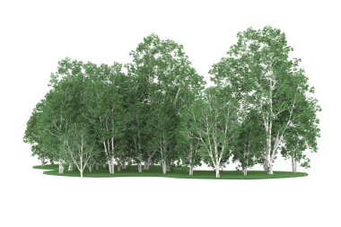 Realistic forest isolated on white background. 3d rendering - illustration