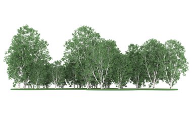 Realistic forest isolated on white background. 3d rendering - illustration