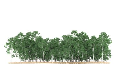 Realistic forest isolated on white background. 3d rendering - illustration