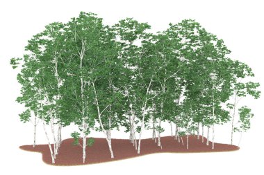 Realistic forest isolated on white background. 3d rendering - illustration