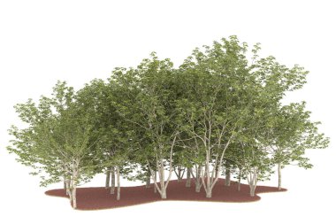 Realistic forest isolated on white background. 3d rendering - illustration