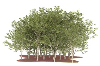 Realistic forest isolated on white background. 3d rendering - illustration