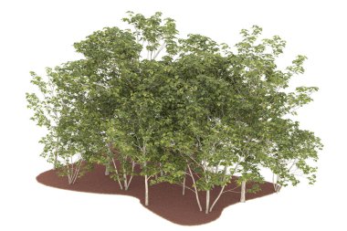 Realistic forest isolated on white background. 3d rendering - illustration