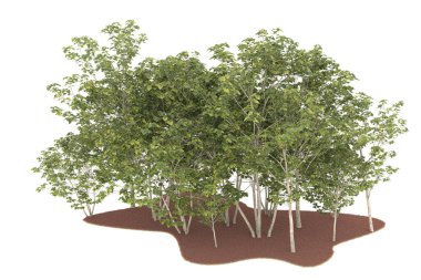 Realistic forest isolated on white background. 3d rendering - illustration