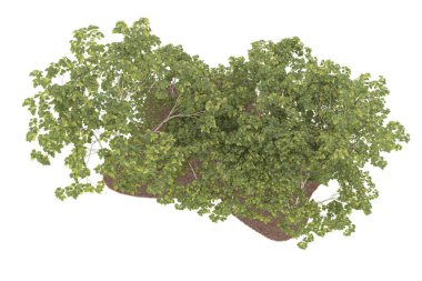 Realistic forest isolated on white background. 3d rendering - illustration