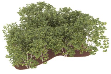 Realistic forest isolated on white background. 3d rendering - illustration