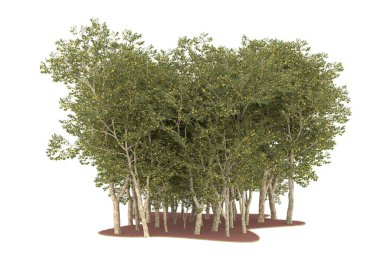 Realistic forest isolated on white background. 3d rendering - illustration