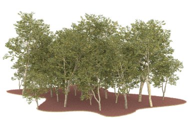 Realistic forest isolated on white background. 3d rendering - illustration
