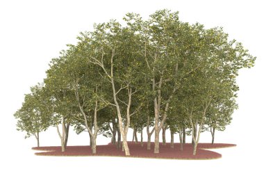 Realistic forest isolated on white background. 3d rendering - illustration