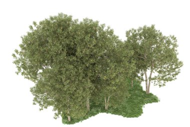 Realistic forest isolated on white background. 3d rendering - illustration