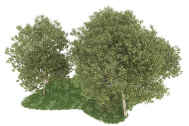 Realistic forest isolated on white background. 3d rendering - illustration